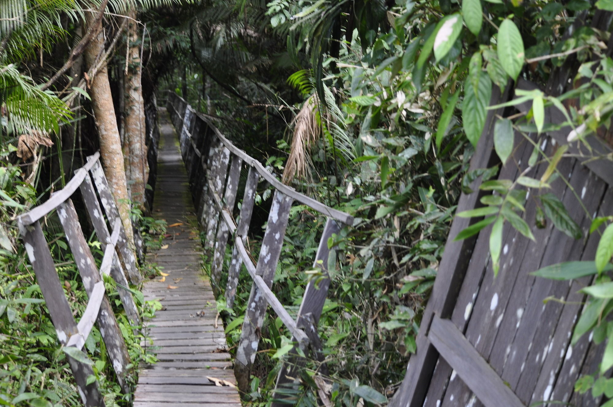 Samboja Lodge Balikpapan  Exterior foto