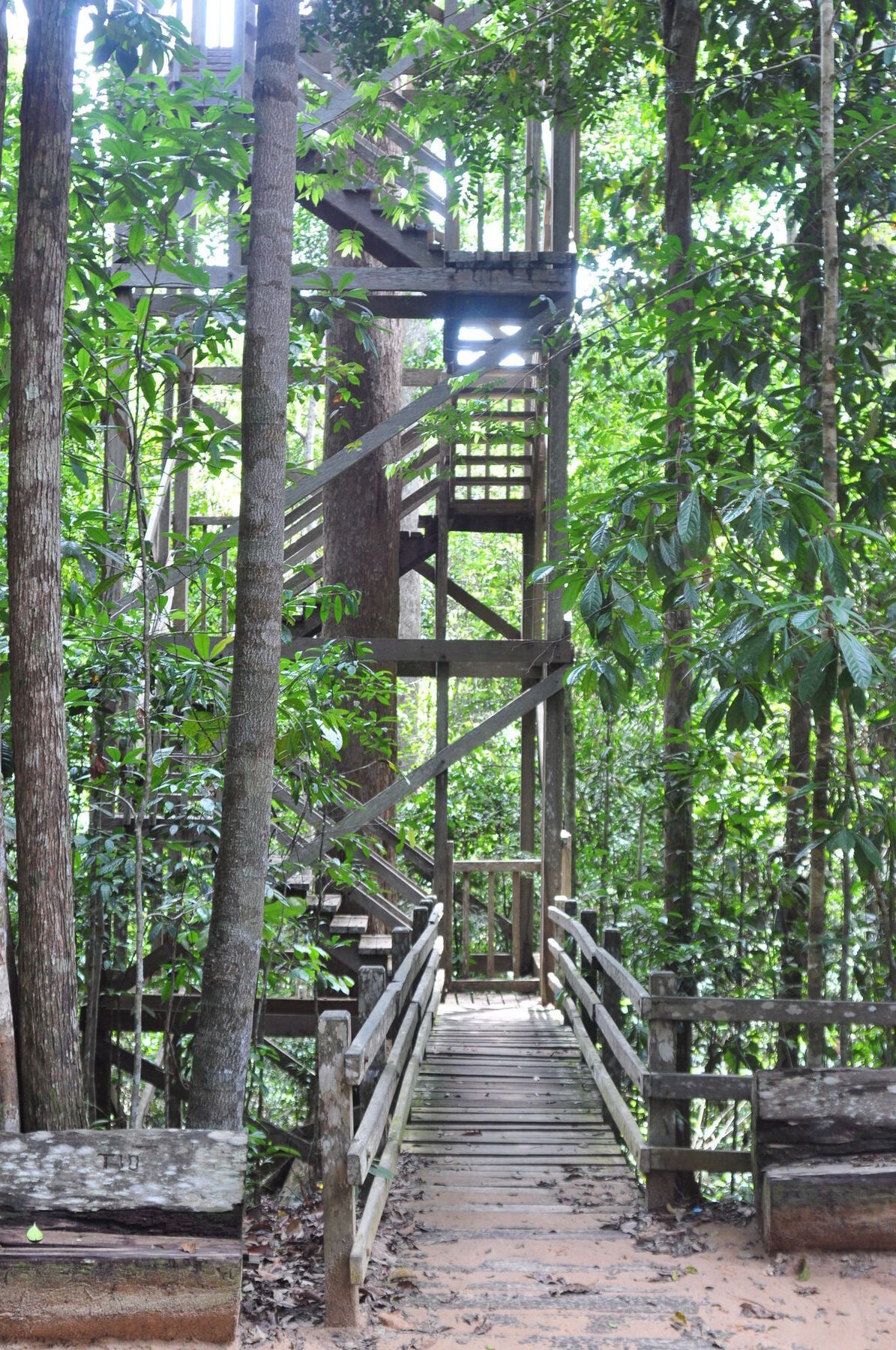 Samboja Lodge Balikpapan  Exterior foto